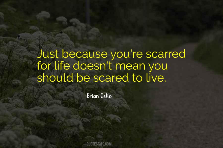 Coracles Quotes #385456 Coracles Quotes #385456