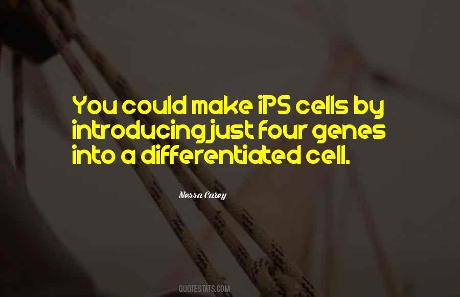 Quotes About Ips #1784050