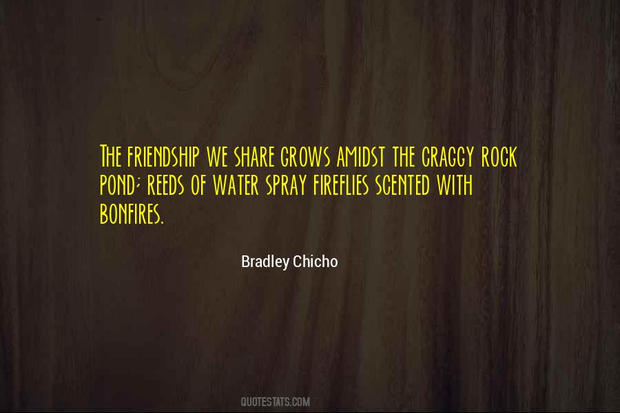 Craggy Quotes #1133205