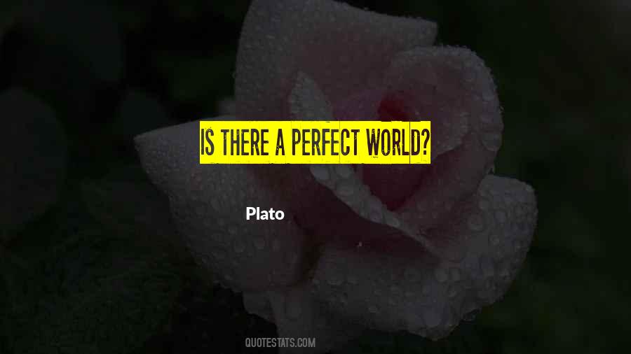 Quotes About A Perfect World #506585