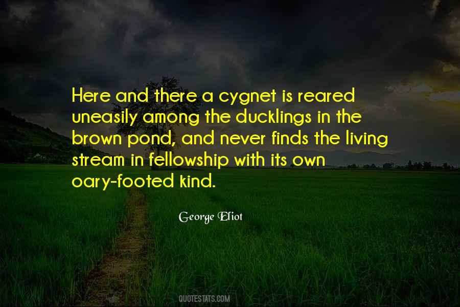 Cygnet Quotes #438856