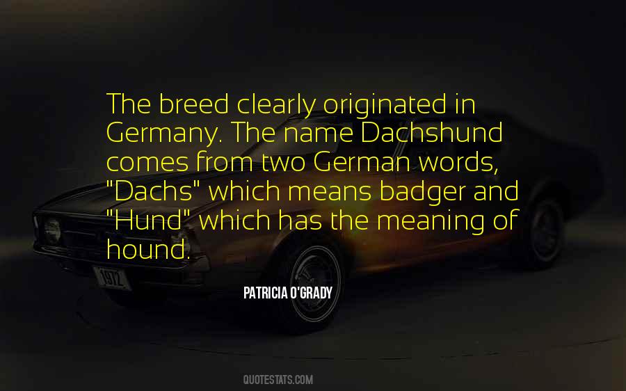 Dachs Quotes #190495