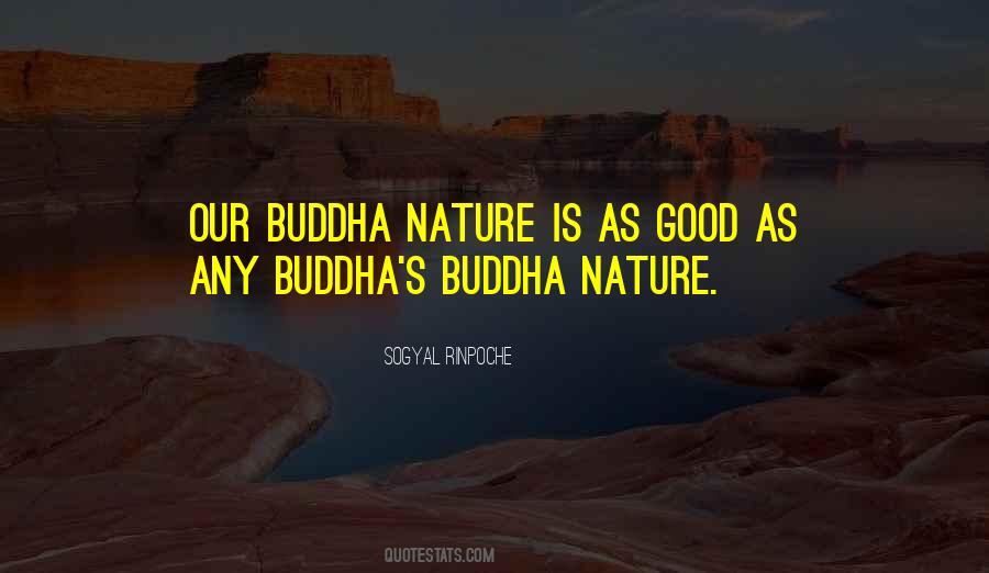 Quotes About Buddha Nature #1404810