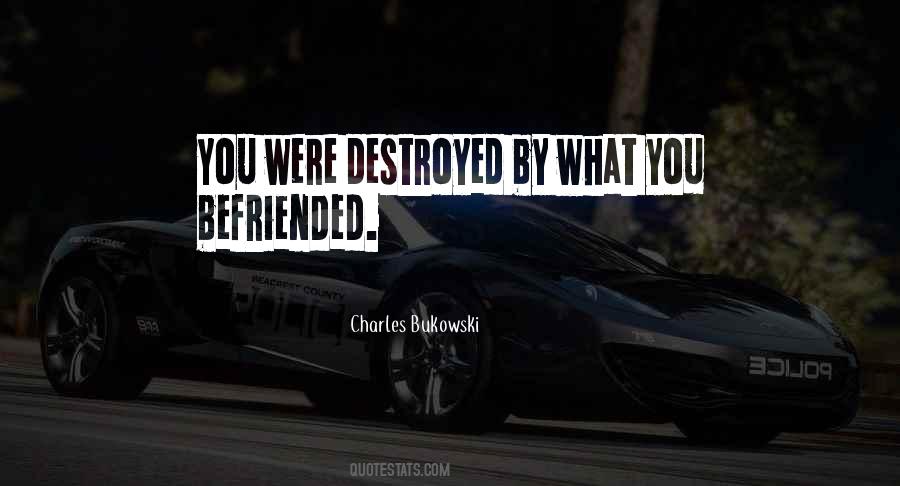 Debusschere Quotes #36419