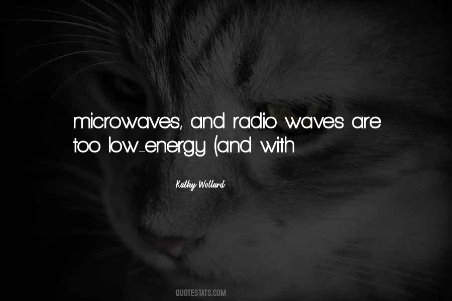 Quotes About Microwaves #225891