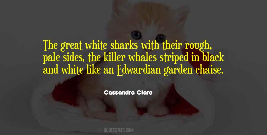 Quotes About White And Black #66705