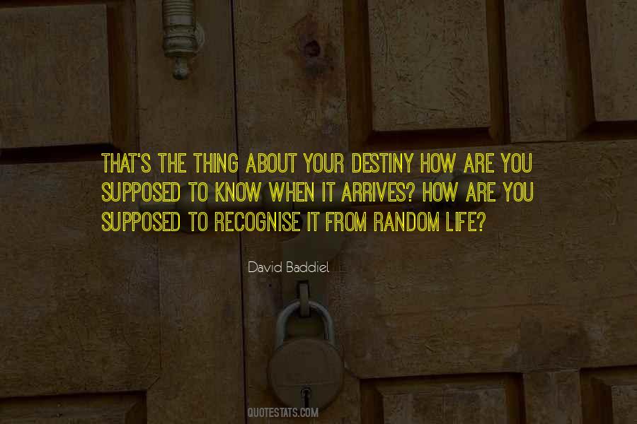 Destiny's Quotes #20324