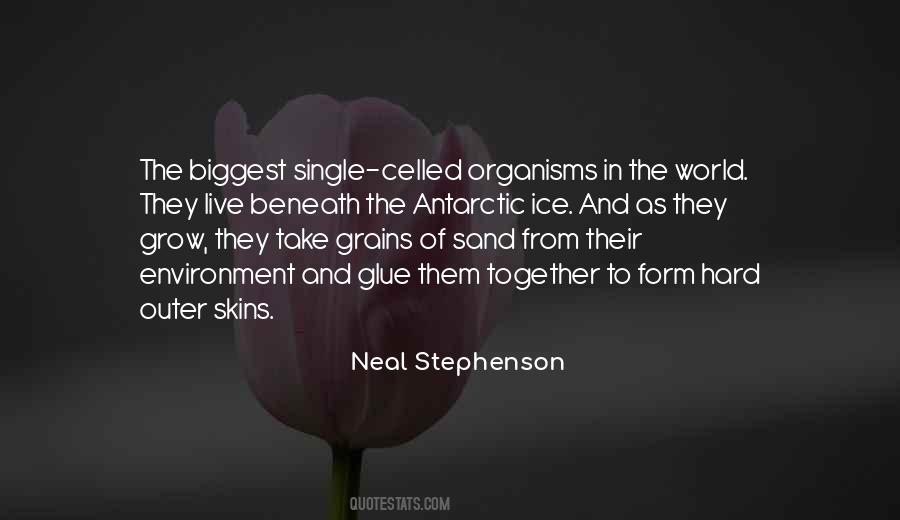 Quotes About The Environment You Live In #442448