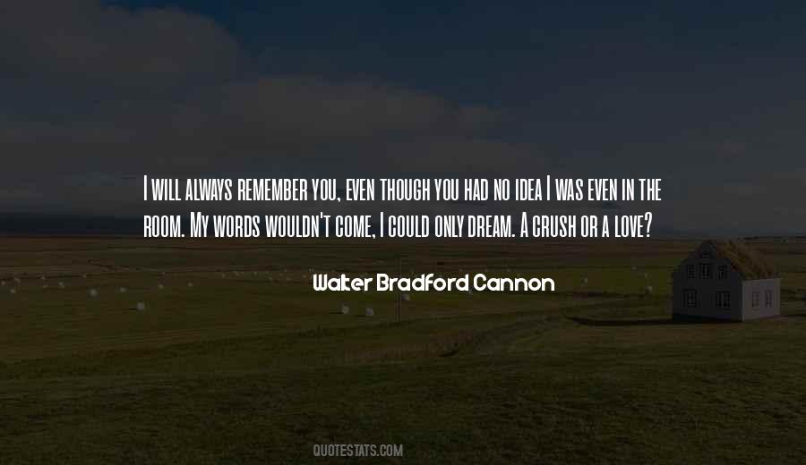 Quotes About I'll Always Remember You #386649