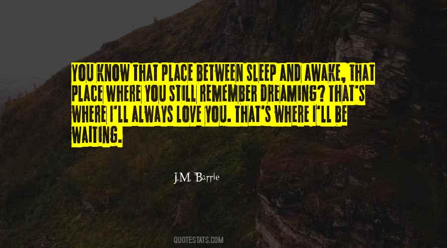 Quotes About I'll Always Remember You #473604