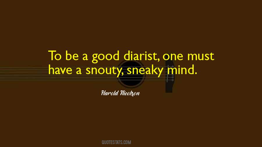 Diarist Quotes #312768