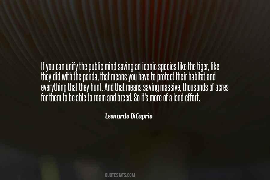 Dicaprio's Quotes #919337