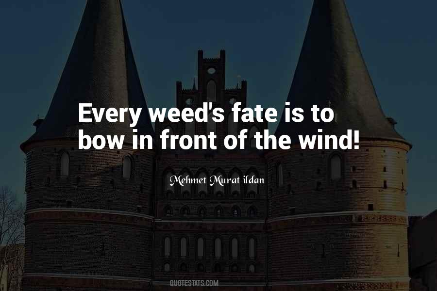 Didactylos Quotes #1103403 Didactylos Quotes #1103403