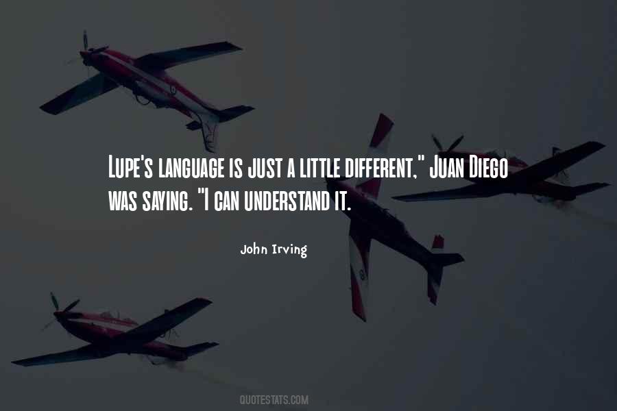 Diego's Quotes #1648315