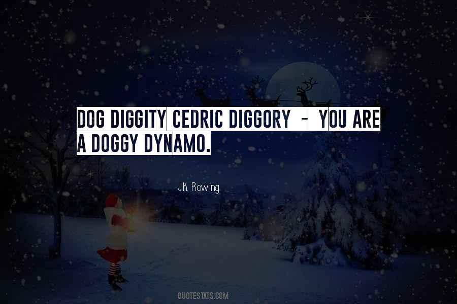 Diggity Quotes #991297