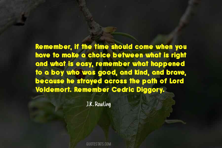 Diggory's Quotes #1380786