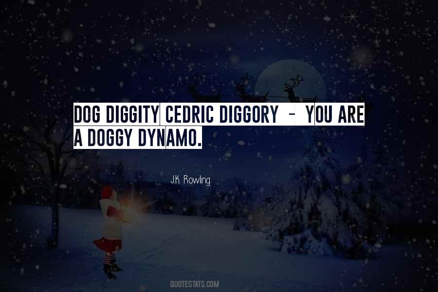 Diggory's Quotes #991297