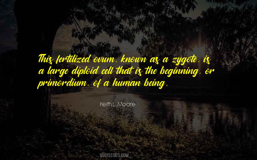 Diploid Quotes #602761