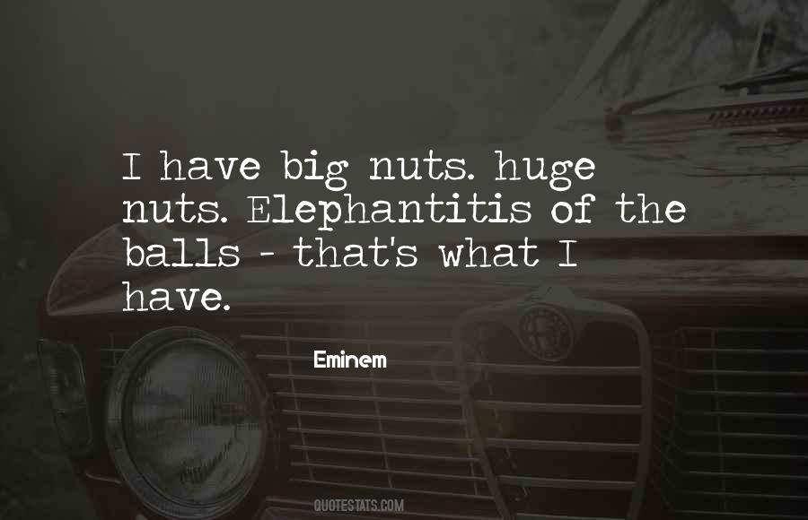 Dirck Quotes #1689246