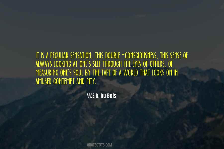Quotes About Double Consciousness #1617247