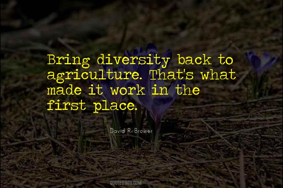 Diversity's Quotes #233931 Diversity's Quotes #233931