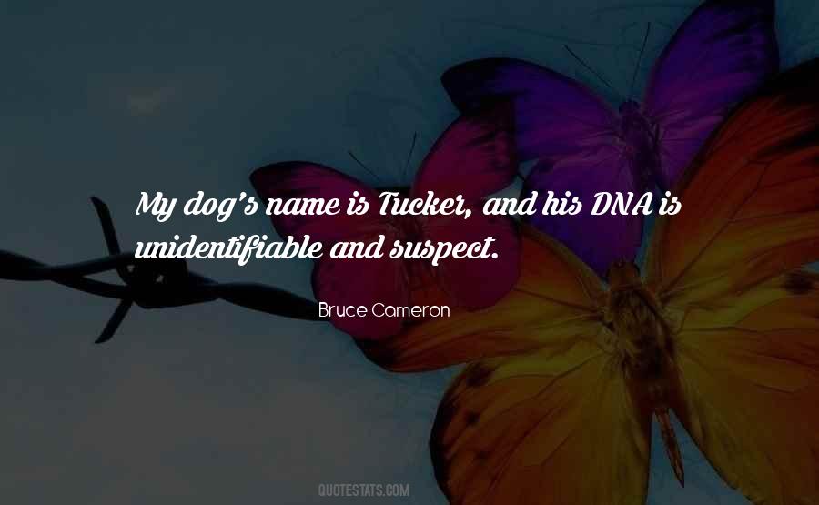 Dna's Quotes #93059