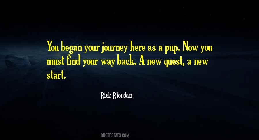 Quotes About A Hero's Journey #1499082