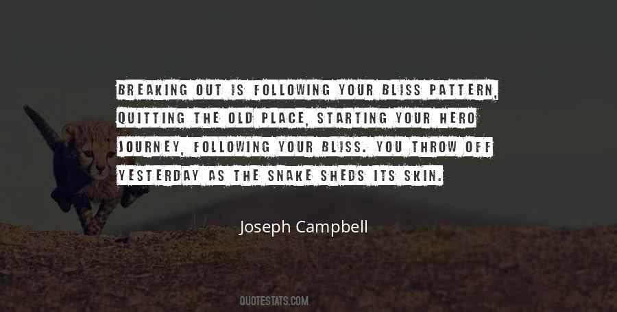 Quotes About A Hero's Journey #559819