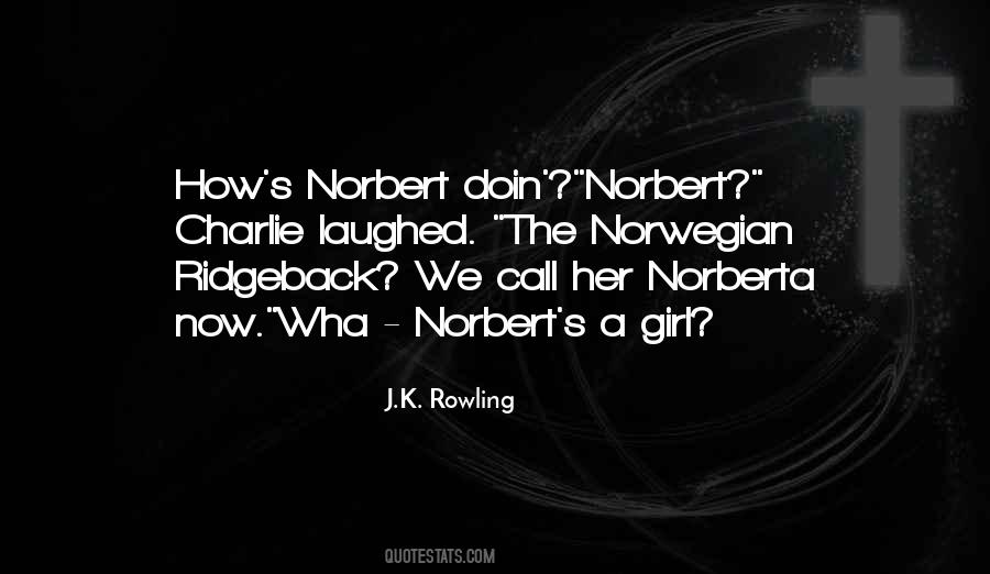 Doin's Quotes #287506