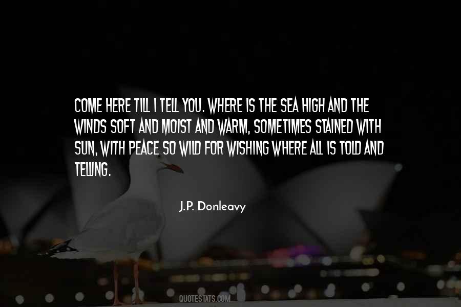 Donleavy Quotes #343953