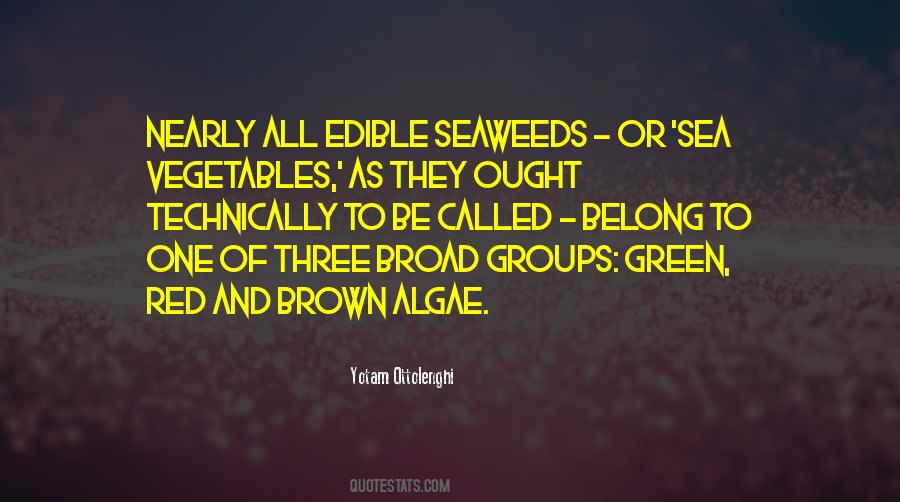 Quotes About Algae #1222439