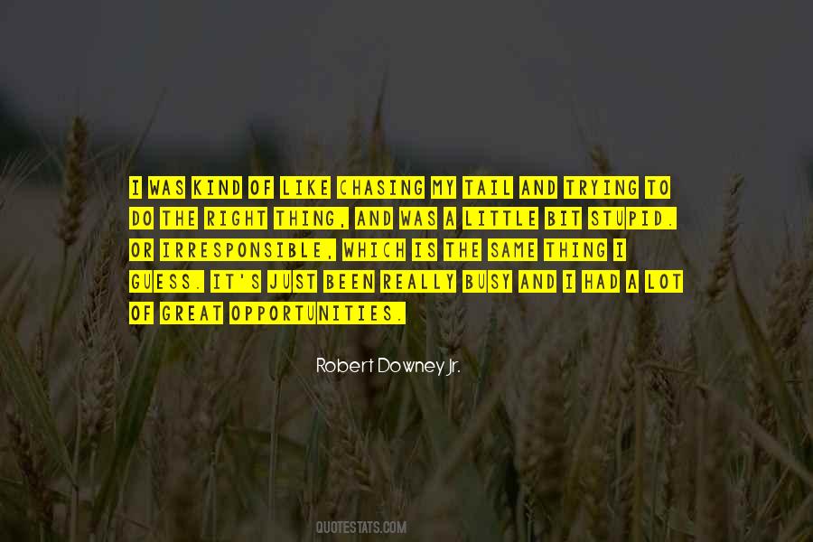Downey's Quotes #980733