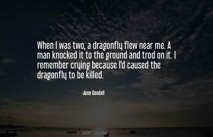 Dragonfly's Quotes #1191008