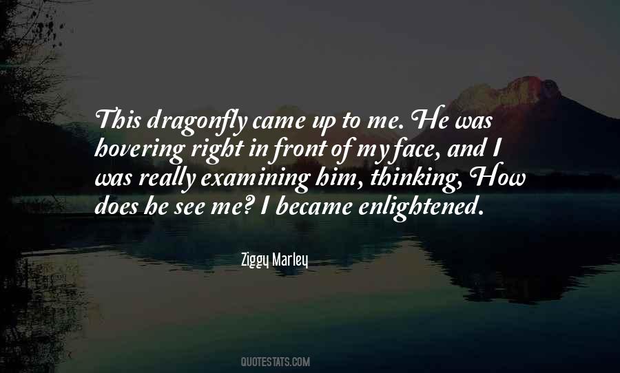 Dragonfly's Quotes #1232580