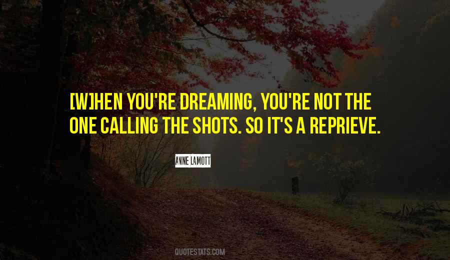 Dreaming's Quotes #443089