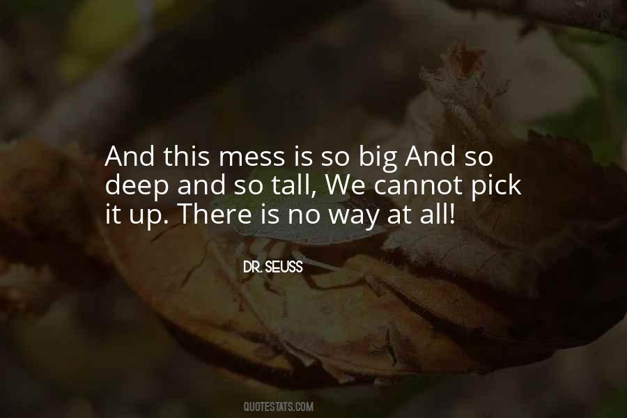 Quotes About Mess Up #298249