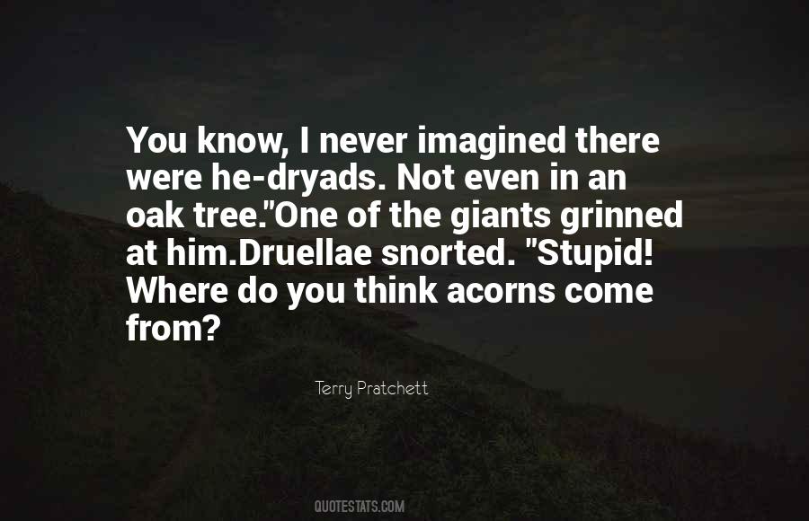 Druellae Quotes #1748716