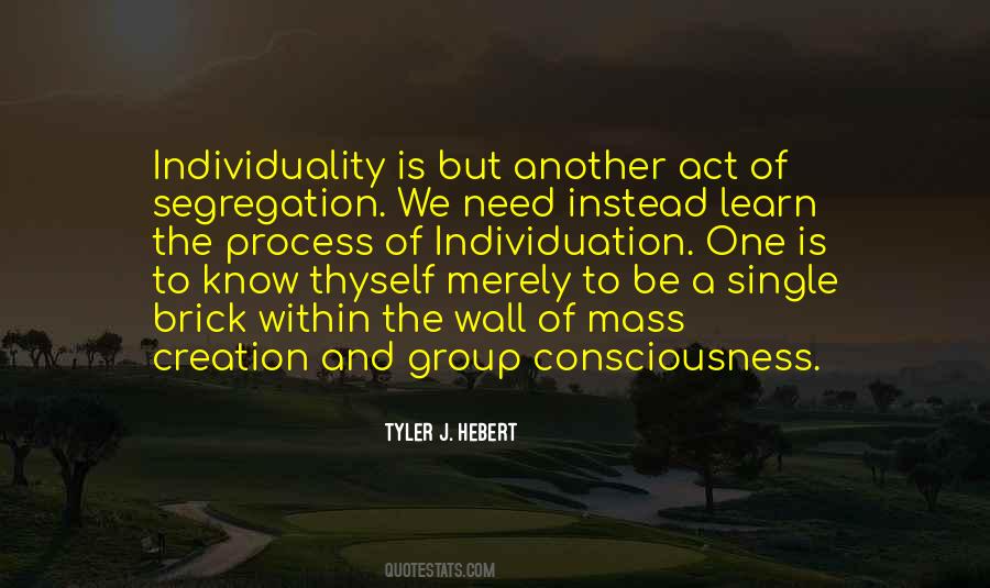 Quotes About Individuation #277061