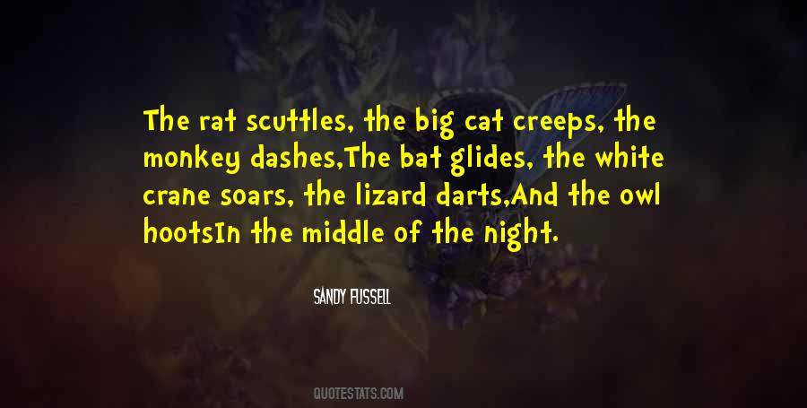 Druskin Quotes #828878 Druskin Quotes #828878