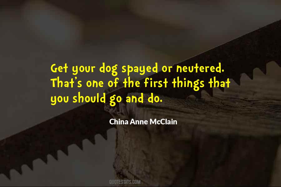 Quotes About You And Your Dog #596157