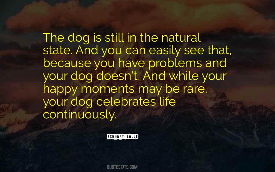 Quotes About You And Your Dog #788361