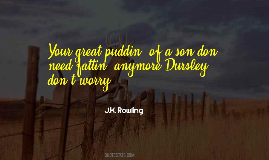 Dursley's Quotes #1538437