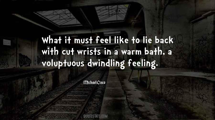 Dwindling Quotes #1564717