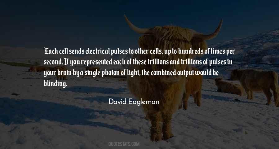 Eagleman's Quotes #1011665