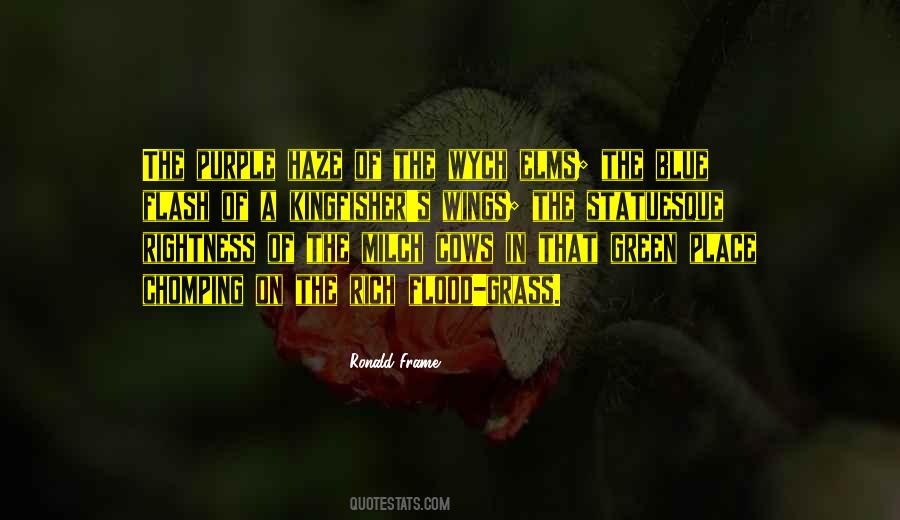 Elms Quotes #781432