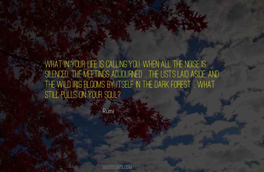 Quotes About Wild #1811099