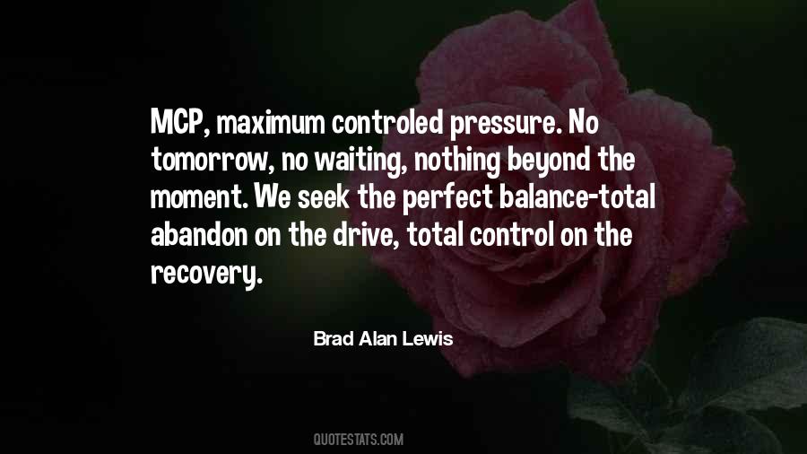 Quotes About The Pressure To Be Perfect #846340