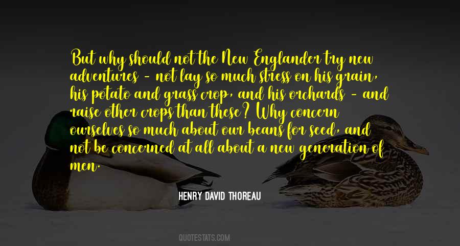 Englander Quotes #231562