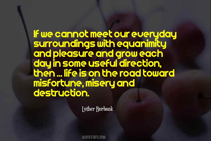 Equanimity's Quotes #544680