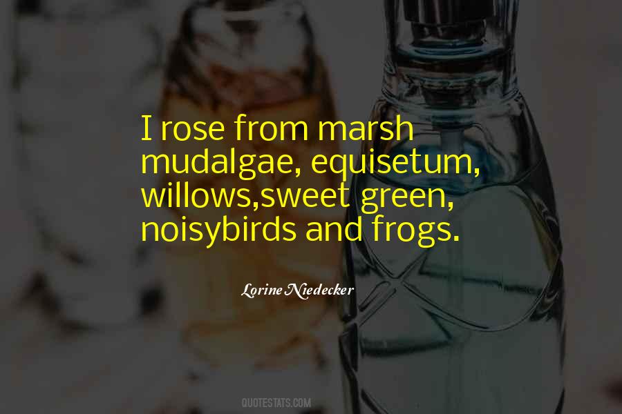 Equisetum Quotes #695336